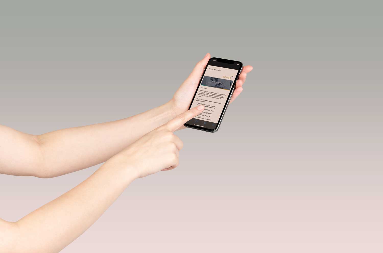 newsletter mockup example