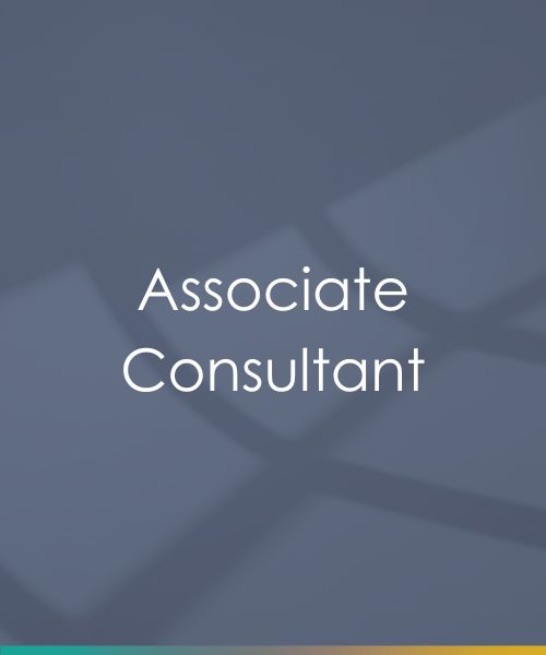 Business Consultant (3)