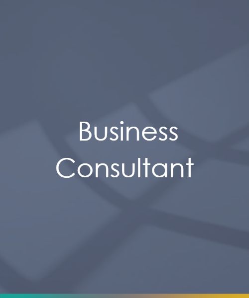 Business Consultant
