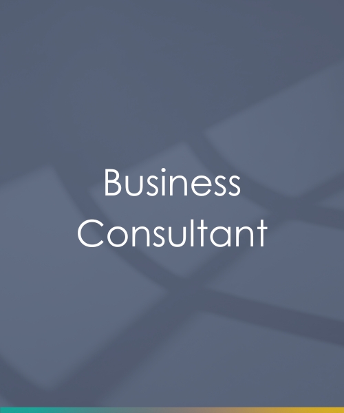 Business Consultant